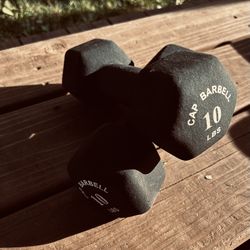 10 Lb Dumbbell Set