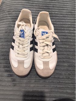 Sambas male 7 1/2