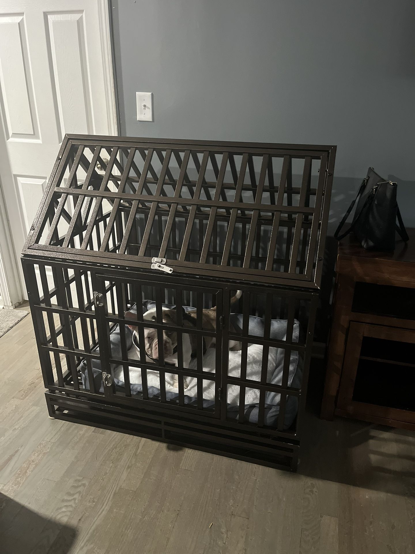 Dog Case