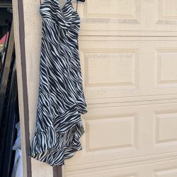Woman’s Zebra Print Dress