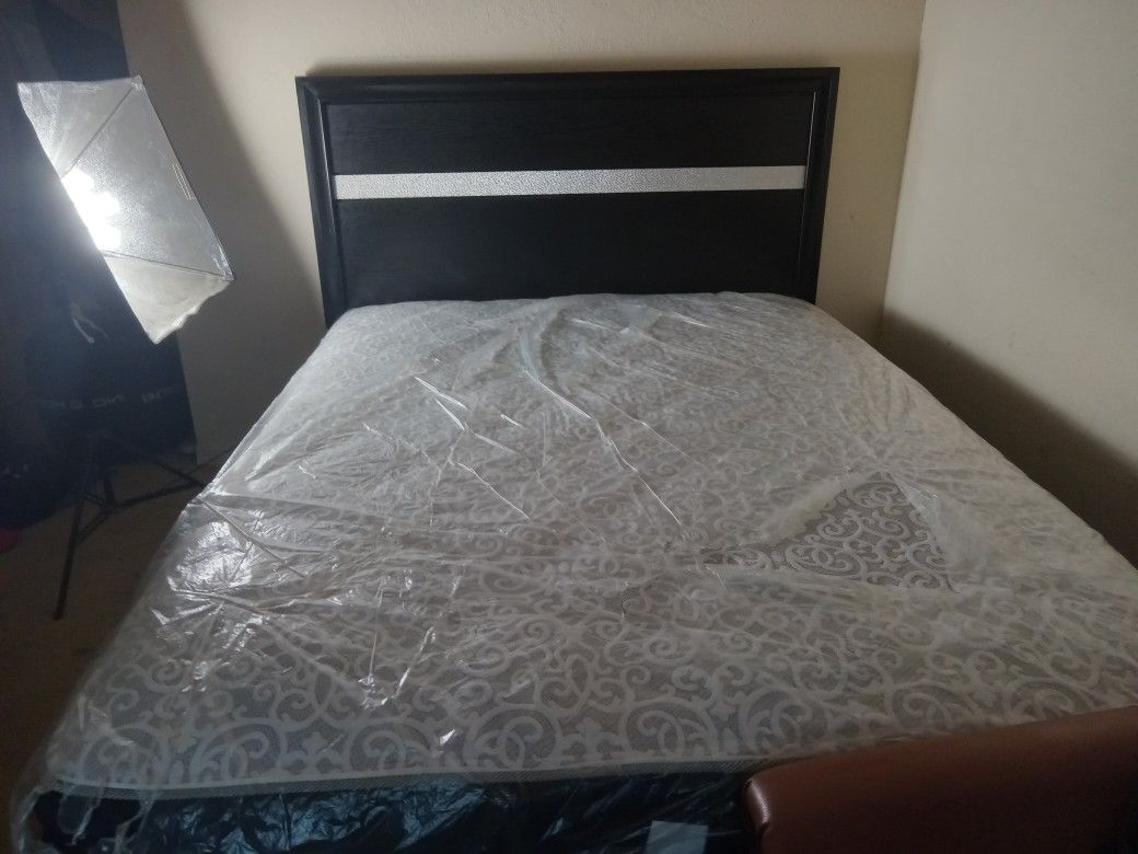 Bed + Mattress + Small Couch + Conputer Chair+ Studio Lights