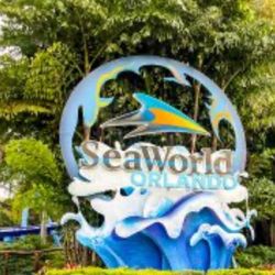 Sea World Ticket 