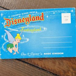 Disneyland Fantasyland Postcard Book