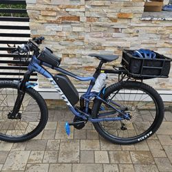 Giant E-Bike