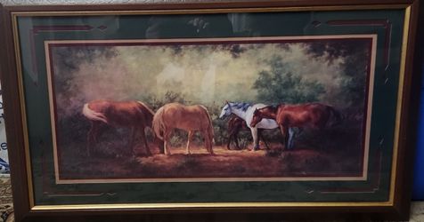 Western Horse Picture