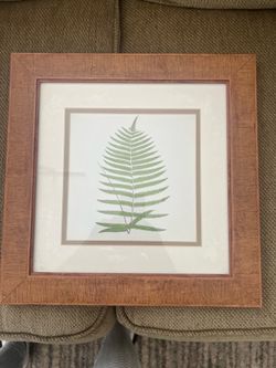 Fern artwork