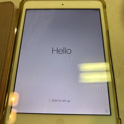mini iPad