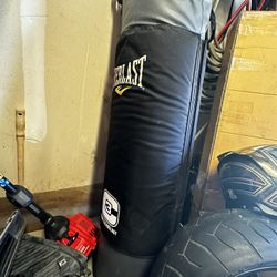 Everlast Punching Bag/heavy Bag