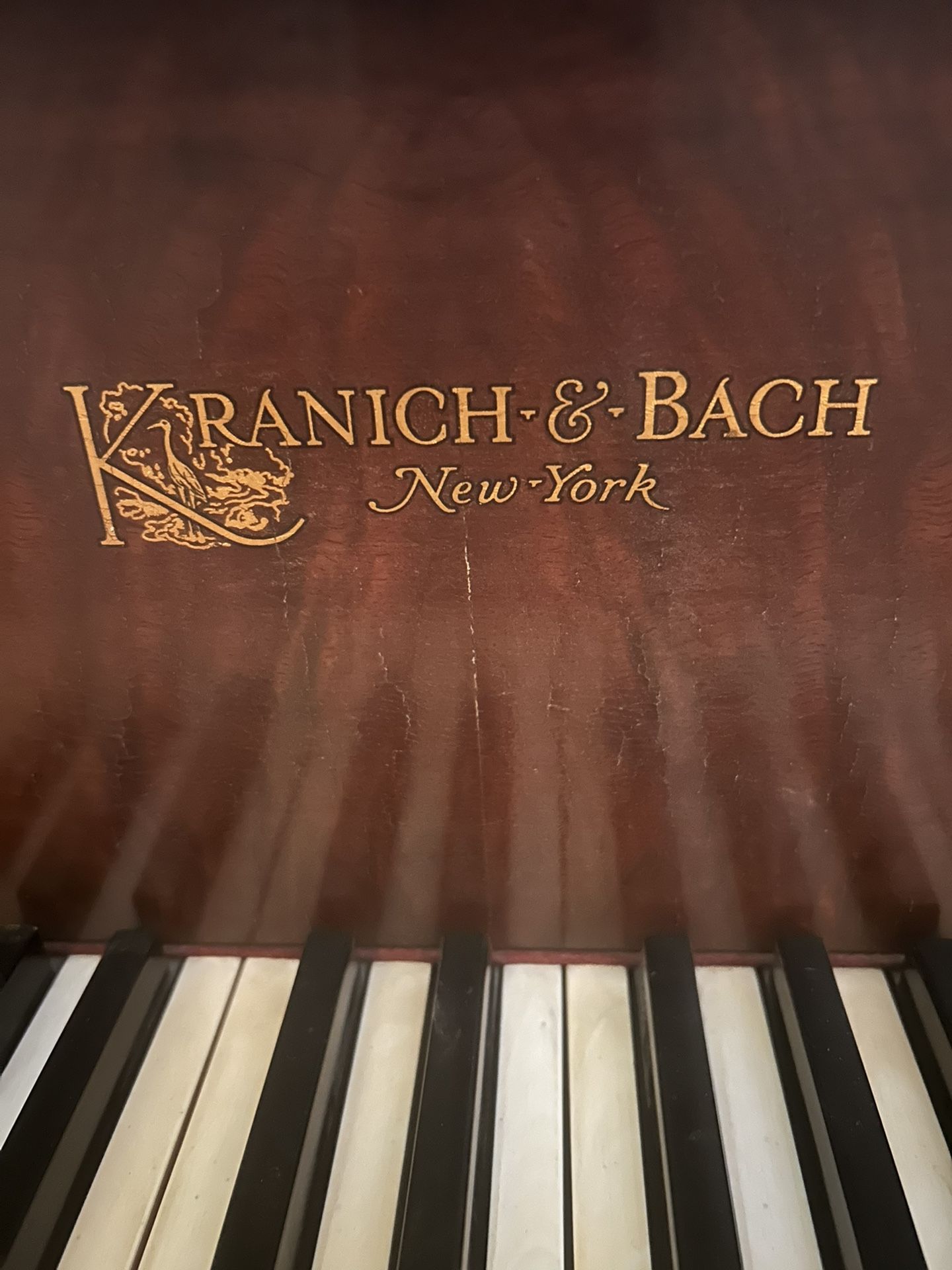 Kranich & Bach