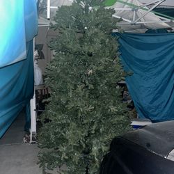 Big Tree 7 1/2 Feet $45