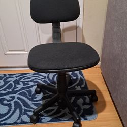 Adjustable Desk Chair
