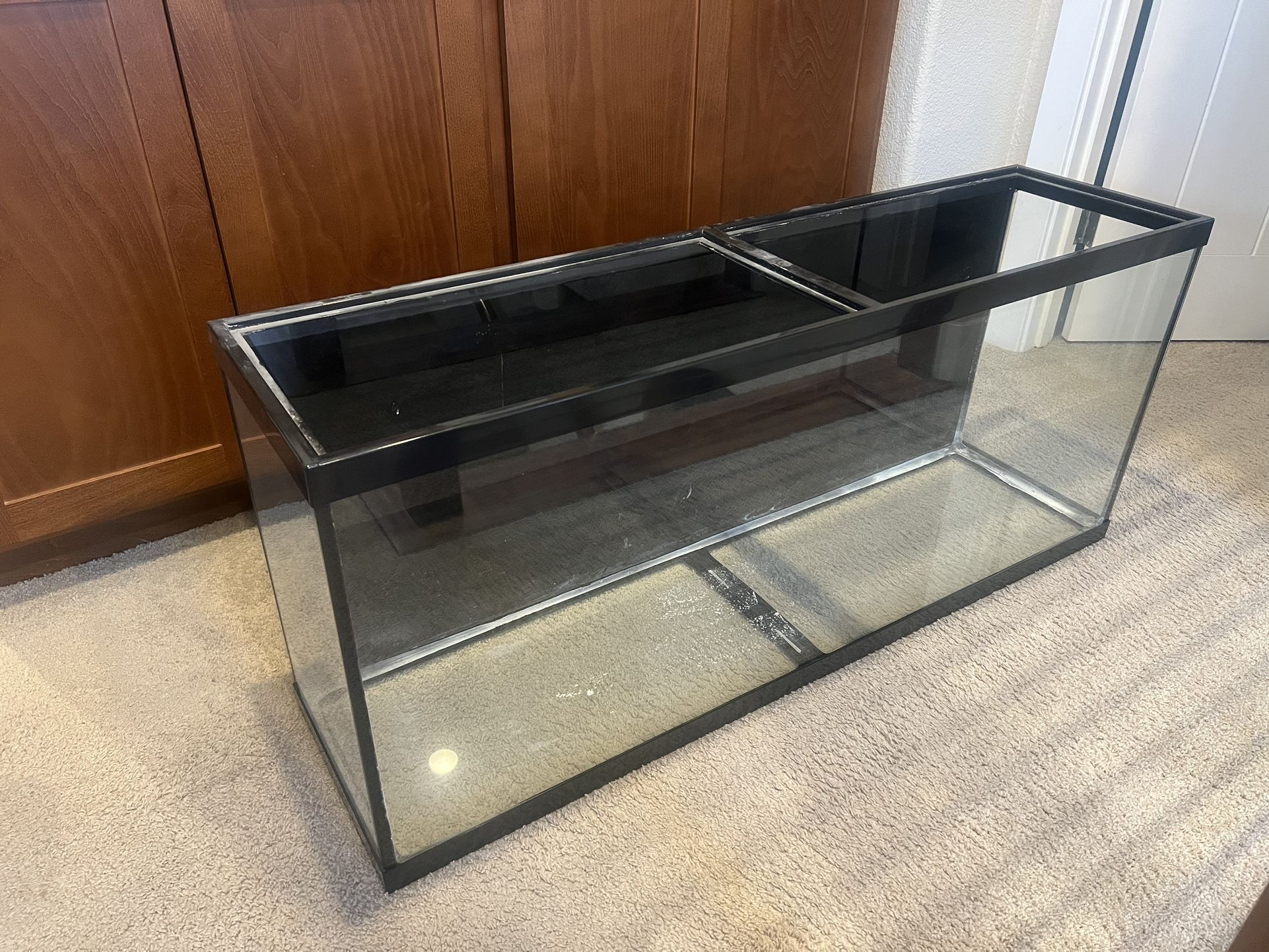 Fish Tank