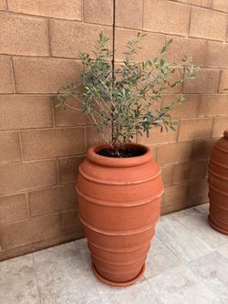 Taller clay planters 32”H plants not included All new