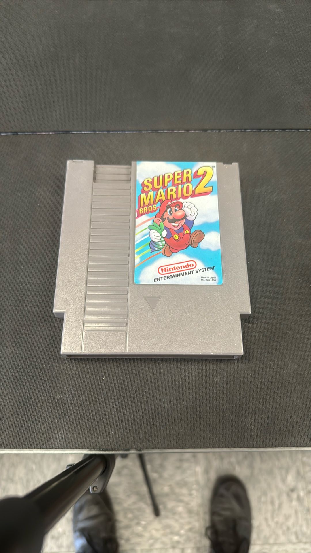 Mario Brothers 2