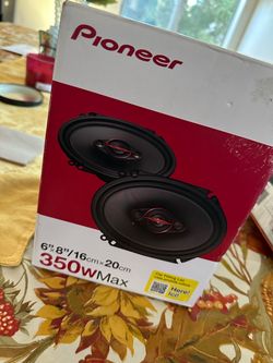 Pioneer speakers
