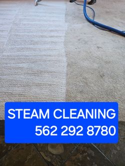 Steam carpet cleaning