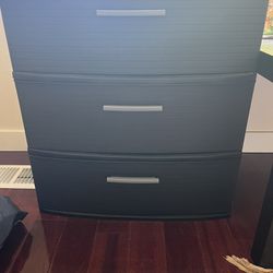 Moving Out- Storage Cabinet 
