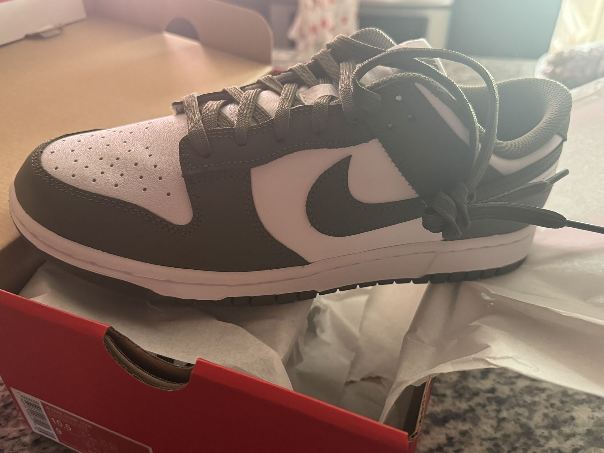 Brand New Nike Dunks Olive Green