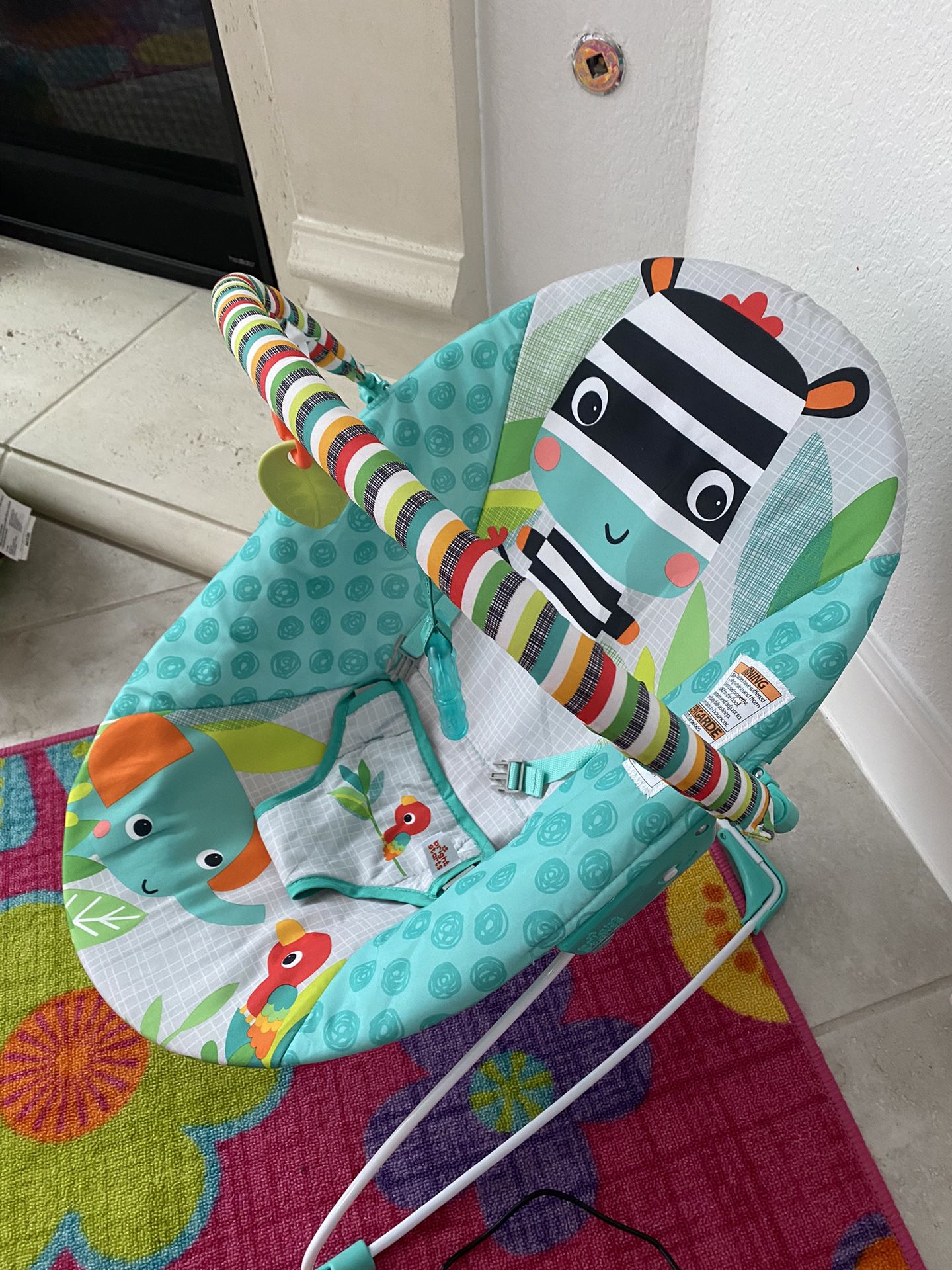 Bright Starts Infant Baby Bouncer