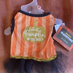Halloween Pet Dress Xs
