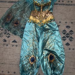 Jasmine Aladdin Disney Costume
