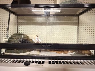Tank