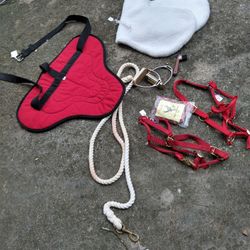 Horse Supplies. Prices Start At $6