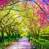 🌹🌸flores🌸🌹