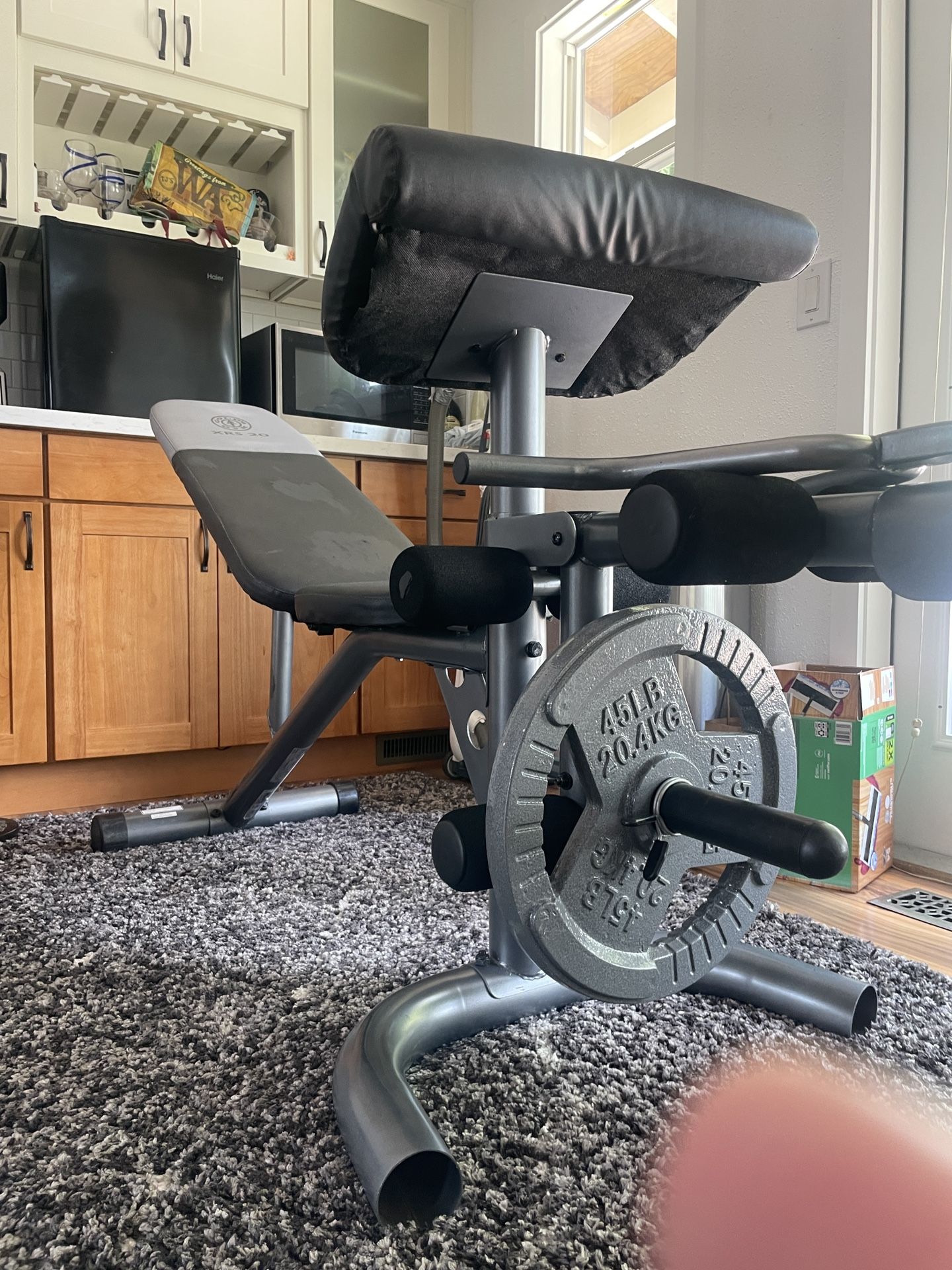 Gold’s Gym Weight Bench w/ 45 lb Plate