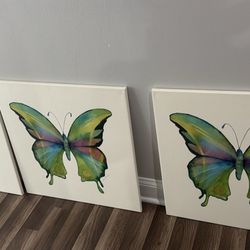 Butterfly Canvas