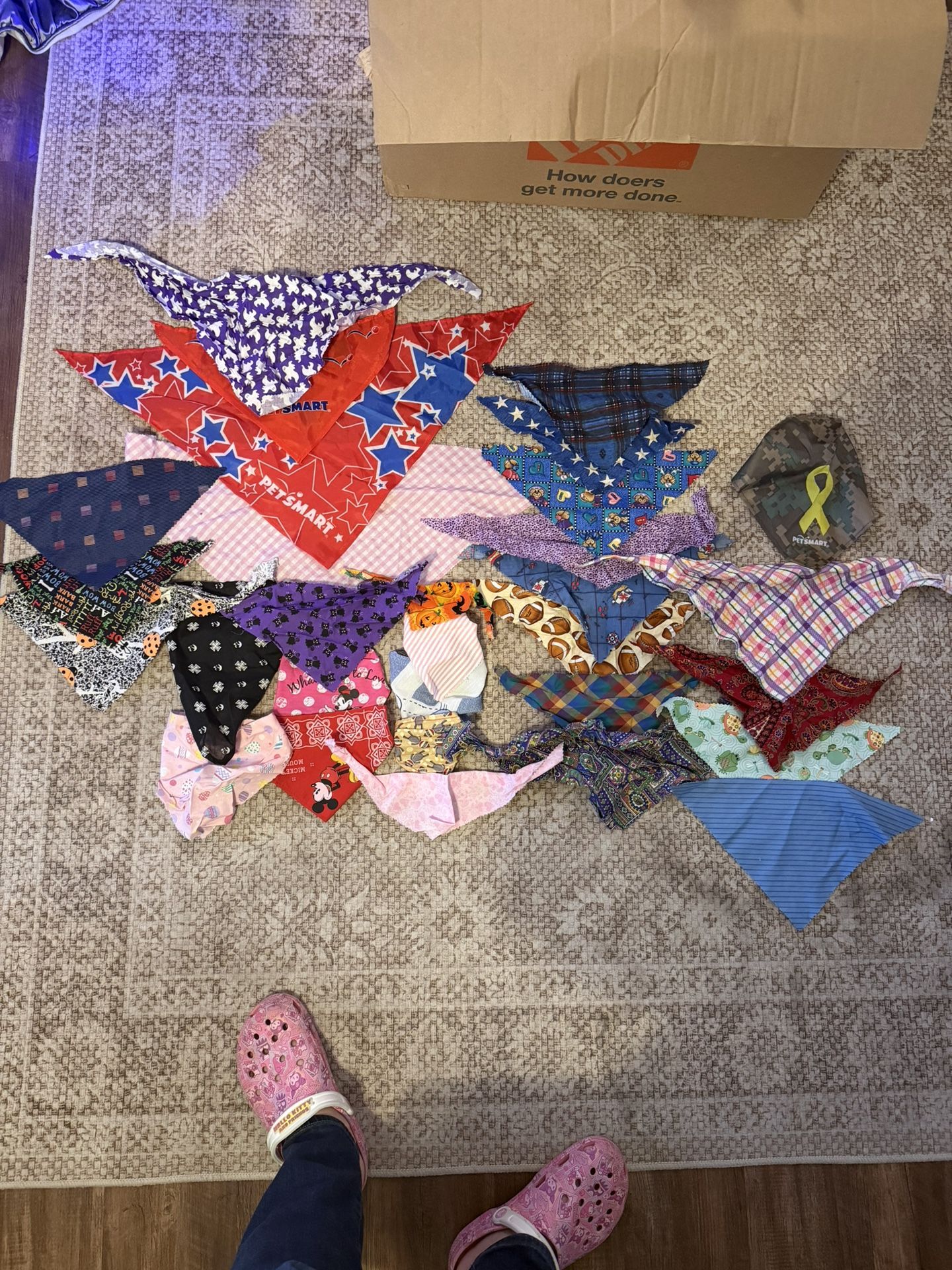 Assorted Dog Bandanas
