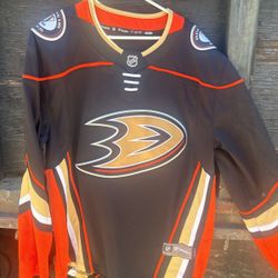 Anaheim Ducks 