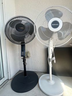 Lasko & Holmes!. 2x $25