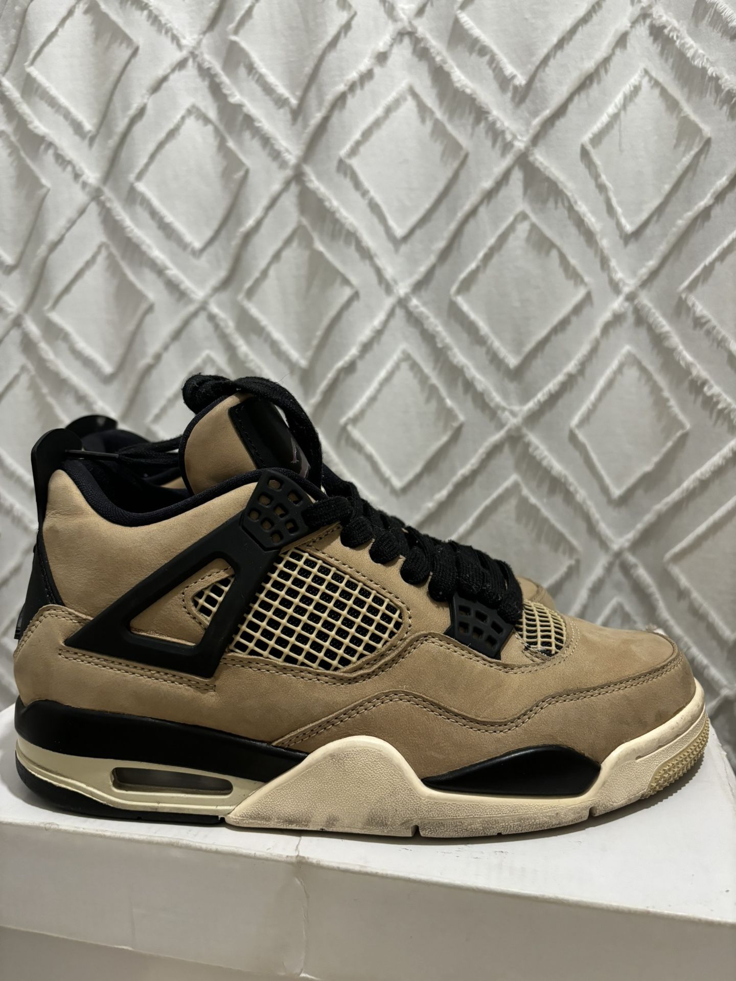 Air Jordan Retro Mushroom