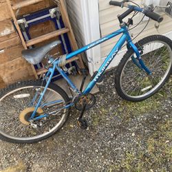 Two used bicycles acquired and a storage unit auction May Need Some Work. I Don’t Know My Wife Road One Of Them Tires Are Flat One Is A Murray.