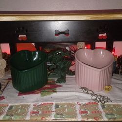 Adjustable Feeding and watering Canine Table and Free feline raiser bowls For senior or messy faceers