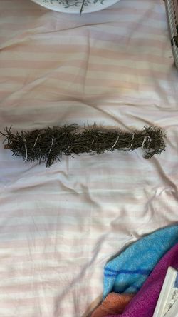 rosemary sage 10 inches 