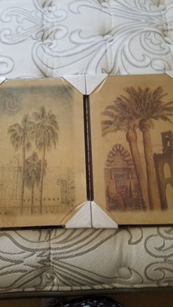 New Palm Tree Pictures