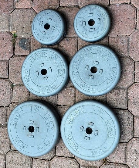 60 Lbs Weights 1"