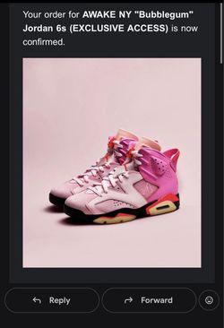 Air jordan 6 Retro SP Awake NY Size 10