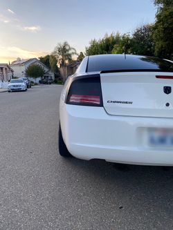 Rear Headlights