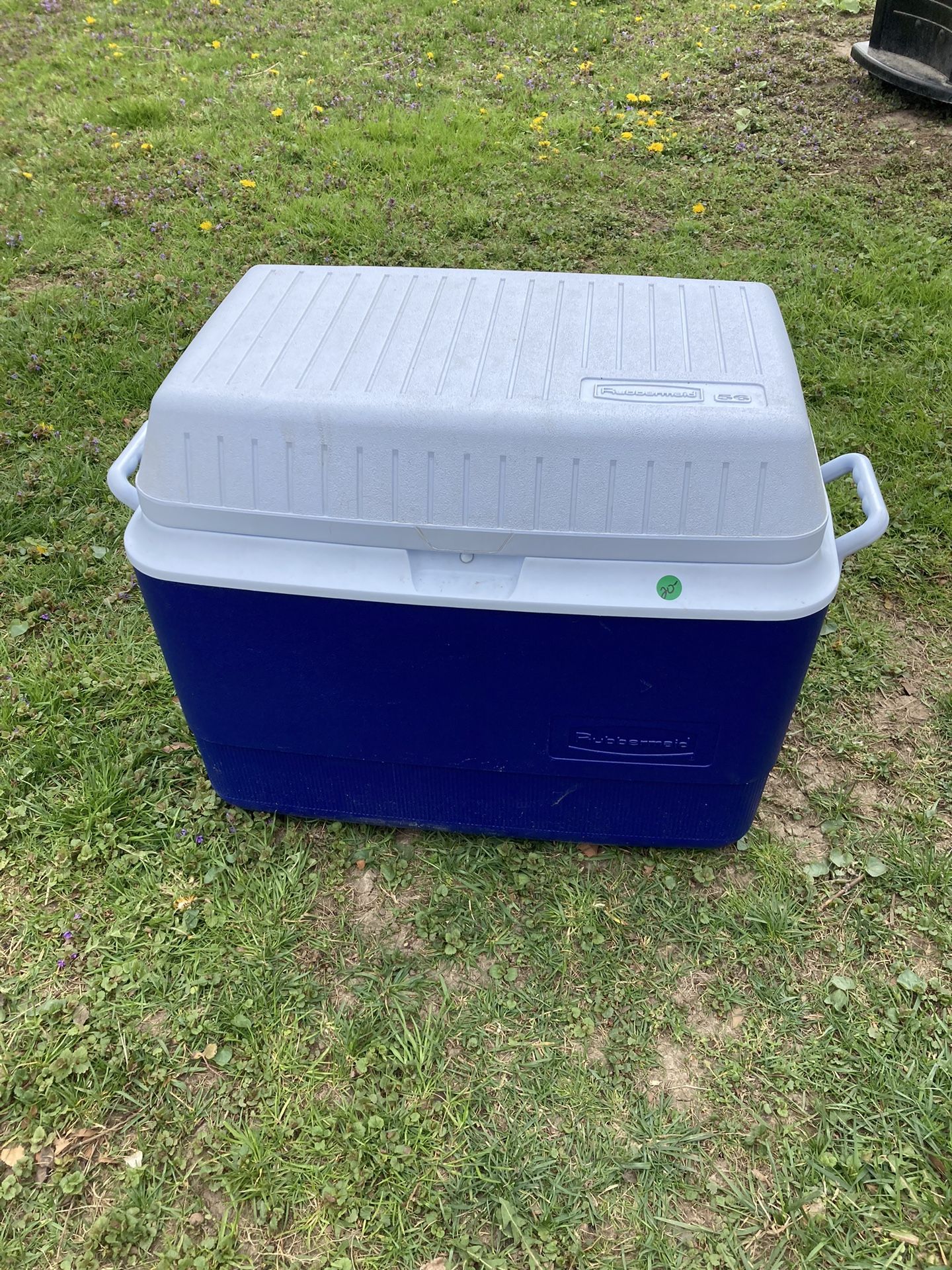  Rubbermaid 56 Cooler 