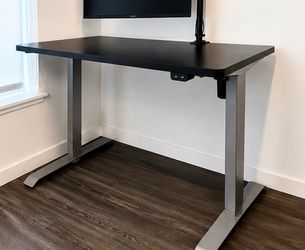 FlexiSpot Electric Standing Desk 48x30 – Adjustable Sit/Stand Desk
