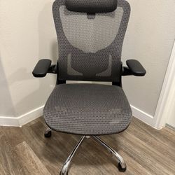 Ergonomic Computer Chair 