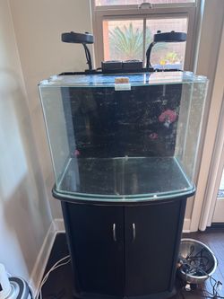 32-Gallon Curved Glass Aquarium Setup + Stand + Dual Kessil A80 Lights