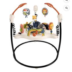 Fisher Price Jumper 
