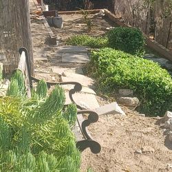 Ruta De 7 Casar De Jardineria