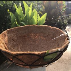 Hanging Basket $10 Each