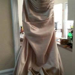 Weekend Special  - Prom/Wedding/Occasion Champagne Dress
