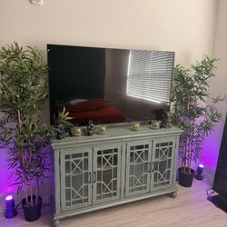 Moving Sale Bundle – 65” Samsung 4K TV + Stand + Decor + Plants 